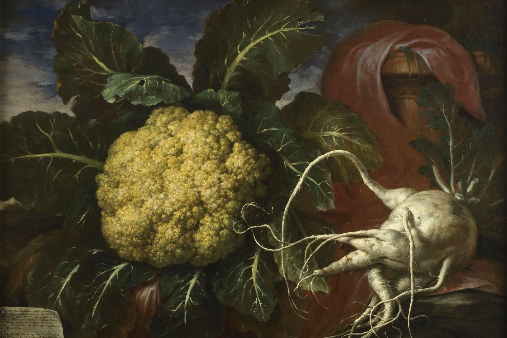 Il Museo della Natura Morta a Poggio a Caiano Il Museo della Natura Morta a Poggio a Caiano